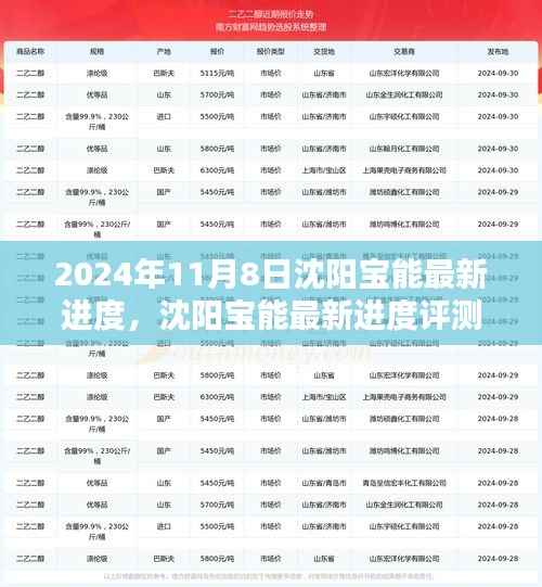 沈阳宝能最新进度深度解析,产品特性与用户体验评测报告