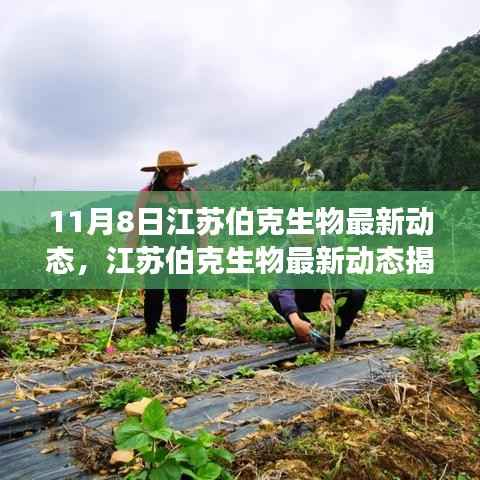 江苏伯克生物最新动态揭秘,11月8日科研与生态进展更新速递