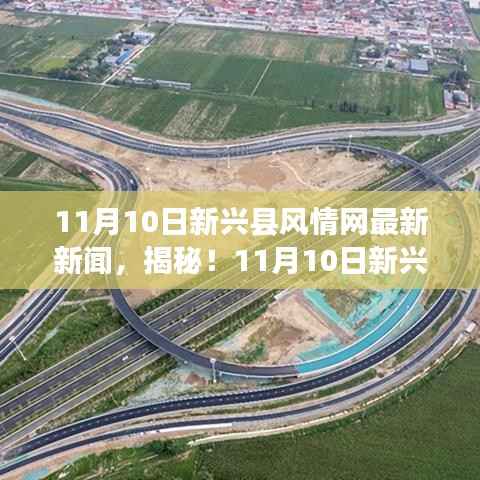 独家揭秘,新兴县风情网小巷深处的隐藏美食,独特小店美味探险之旅