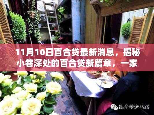 揭秘隐藏版特色小店,百合贷新篇章的独特魅力(最新消息)