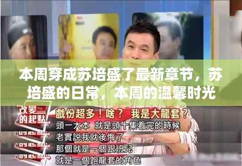 本周苏培盛的日常,温馨时光与友情纽带最新章节发布