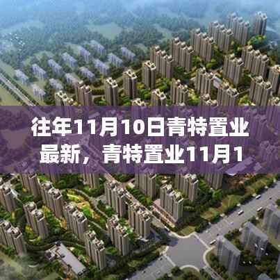 青特置业11月10日新篇章,学习变革,共创辉煌未来,成就梦想之旅