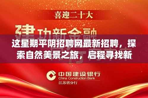 平阴招聘网更新，探索自然美景与寻找新工作的和谐之旅