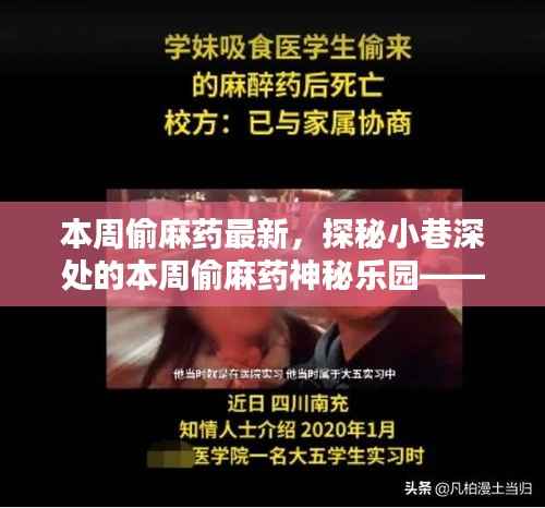 探秘隐藏版特色小店,本周偷麻药神秘乐园的独特魅力