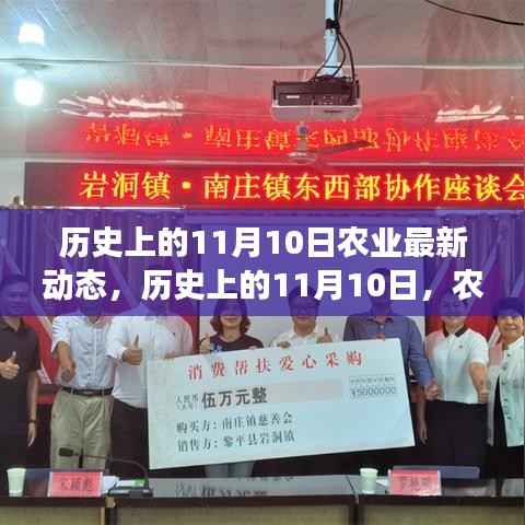 历史上的11月10日农业之旅,探寻自然美景,开启内心平静的力量新篇章