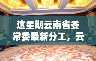 诚聘英才 第250页