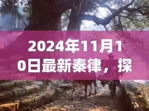 联系我们 第257页