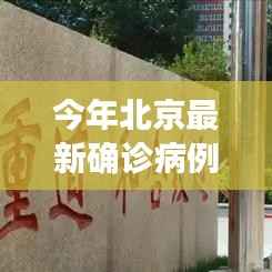 北京最新确诊病例解读与分析,全面解读与深度探讨