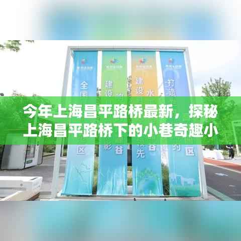 探秘上海昌平路桥下的小巷奇趣小店,最新隐藏版美味与独特风情揭秘