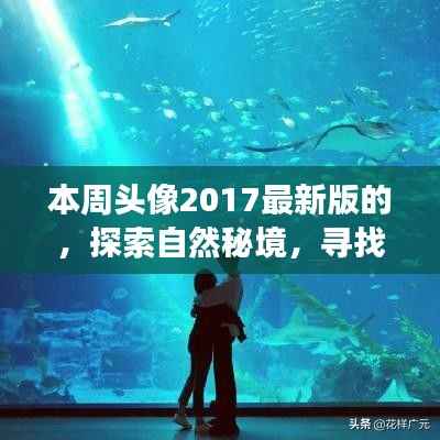 「探索自然秘境,领略2017最新旅行风采——本周头像带你游遍世界」