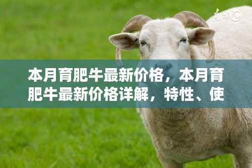 本月育肥牛价格详解，特性、体验、竞品对比及用户群体分析