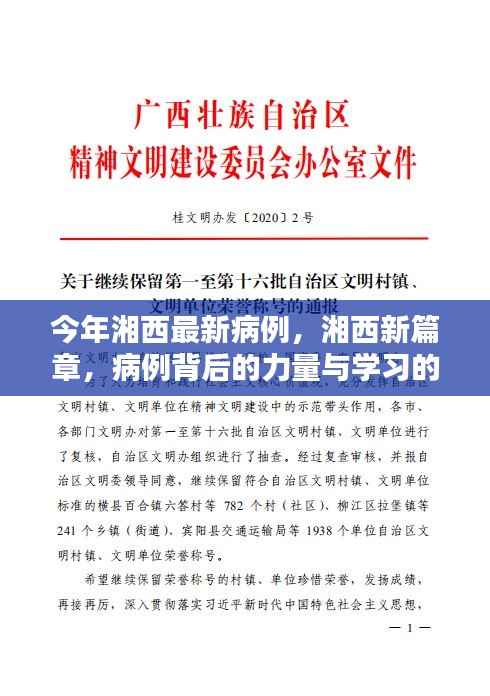 湘西最新病例背后的力量与学习魔法,揭示湘西新篇章的启示