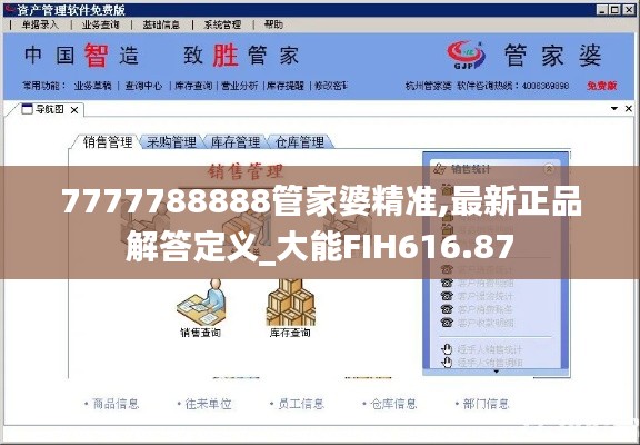 7777788888管家婆精准,最新正品解答定义_大能FIH616.87