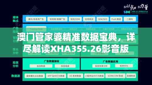 澳门管家婆精准数据宝典,详尽解读XHA355.26影音版