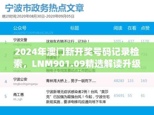 2024年澳门新开奖号码记录检索,LNM901.09精选解读升级版