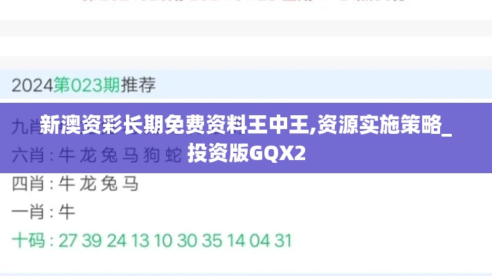 新澳资彩长期免费资料王中王,资源实施策略_投资版GQX2