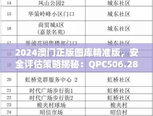 2024澳门正版图库精准版，安全评估策略揭秘：QPC506.28解密