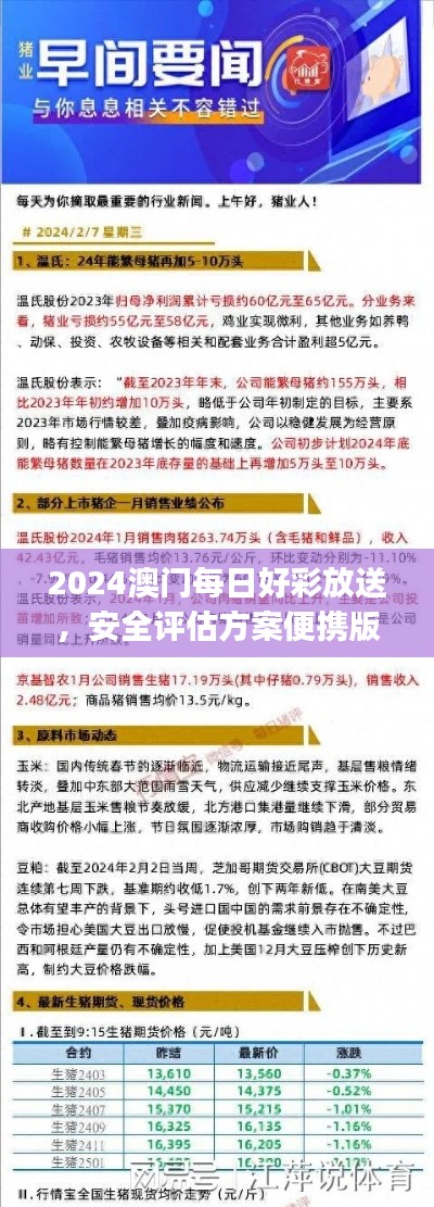 2024澳门每日好彩放送,安全评估方案便携版JXN474.04