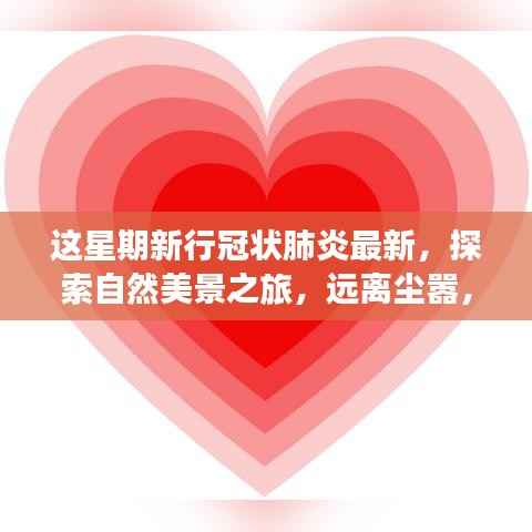 疫情下的别样旅行体验,探索自然美景,远离尘嚣寻求内心平静的新行冠状肺炎时代之旅