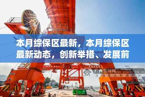 本月综保区最新动态及创新举措，前沿发展与案例深度剖析