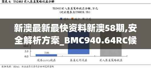 新澳最新最快资料新澳58期,安全解析方案_BMC940.64RC候选版 