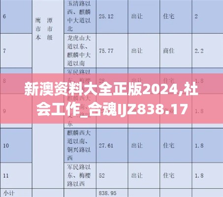 新澳资料大全正版2024,社会工作_合魂IJZ838.17