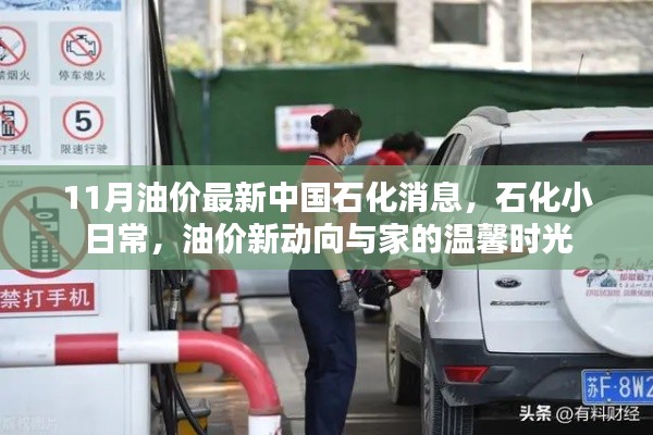 中国石化油价最新动态,日常石化生活与油价新动向的温馨时光
