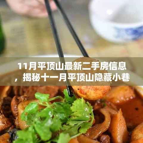 11月平顶山二手房信息及特色小店风情揭秘