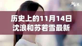 历史上的11月14日揭秘沈浪和苏若雪最新进展,最新故事进展揭秘!