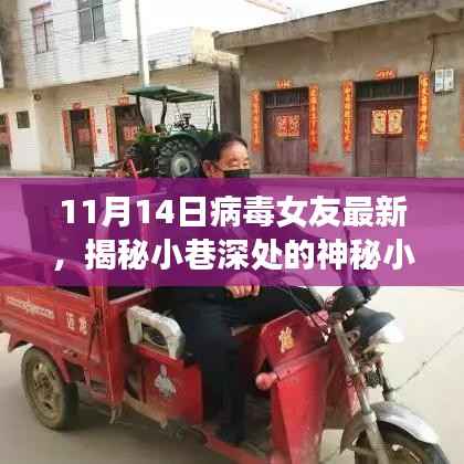 揭秘神秘小巷小店,病毒女友带你探寻独特风情——11月14日最新报道