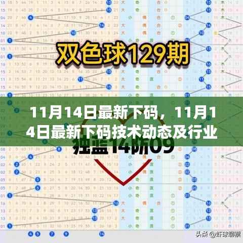 11月14日最新下码技术动态及行业应用分析,犯罪行为的探讨