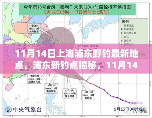 探寻自然之鱼的乐园,上海浦东新钓点揭秘与垂钓盛宴(11月14日)
