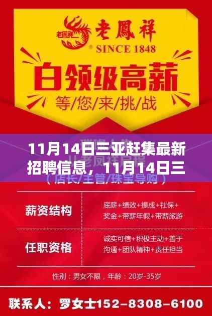 11月14日三亚赶集最新招聘信息全面解析