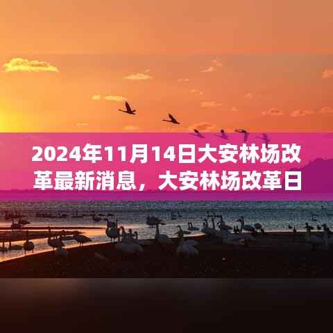 大安林场改革故事会,最新消息与温馨改革之旅(2024年11月14日)