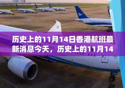 历史上的11月14日香港航班今日动态更新,最新航班消息速递
