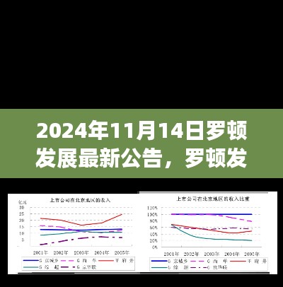 罗顿发展最新公告揭秘未来战略动向与业务进展(2024年11月版)