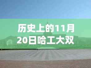 哈工大双一流最新消息及历史进展详解，获取全攻略与重要进展回顾