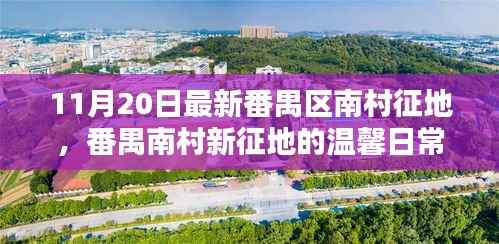 番禺南村征地最新动态,友情、家庭与陪伴的喜悦日常