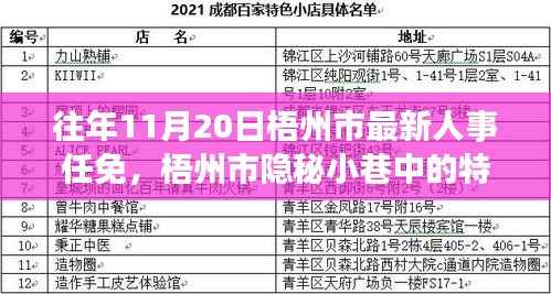 梧州市人事任免与隐秘小巷的特色小店,人事变迁背后的惊喜邂逅之旅