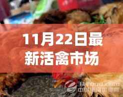11月22日活禽市场开放动态,复苏与机遇的挑战