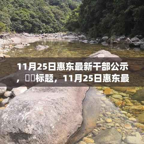 探寻内心宁静之旅,惠东最新干部公示与自然的序曲