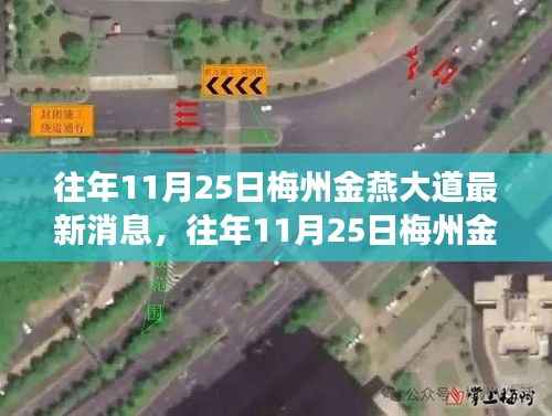往年11月25日梅州金燕大道,发展详评与最新动态解析