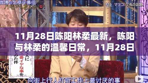 陈阳林柔的温馨日常,11月28日的快乐时光记录