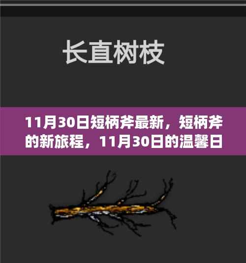 短柄斧新旅程揭秘,11月30日的温馨日常