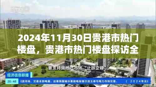 贵港市热门楼盘探访全攻略,购房指南(2024年11月30日)