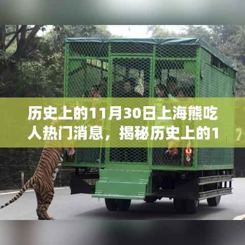揭秘上海熊吃人事件,历史真相与传闻回顾(附日期,XX年XX月XX日)