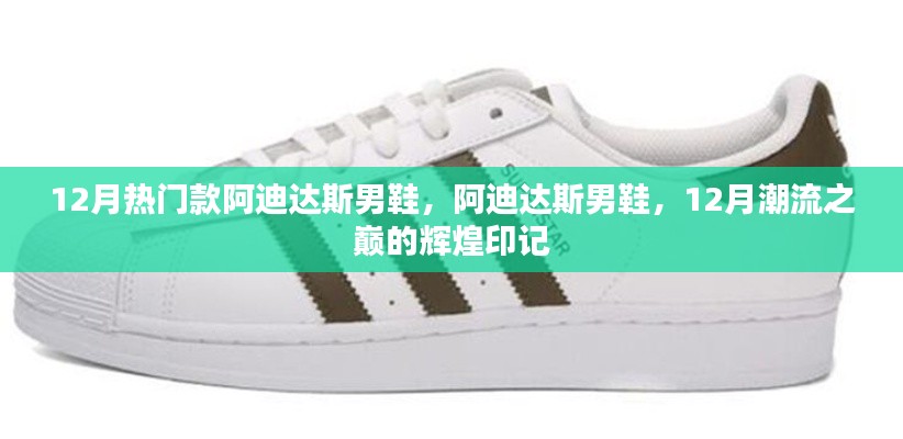 12月热门款阿迪达斯男鞋,潮流之巅的辉煌印记