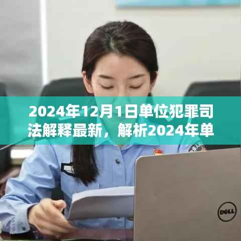 深度解析,2024年单位犯罪司法解释最新动态及三大要点探讨