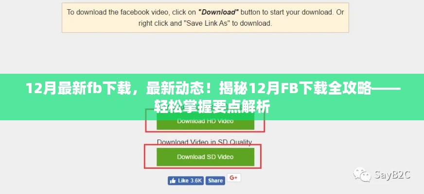 花开无言 第13页