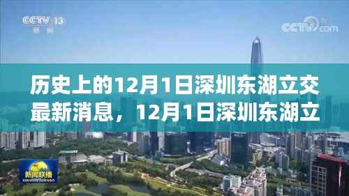 深圳东湖立交新进展,自然美景的心灵之旅启程日纪念报道